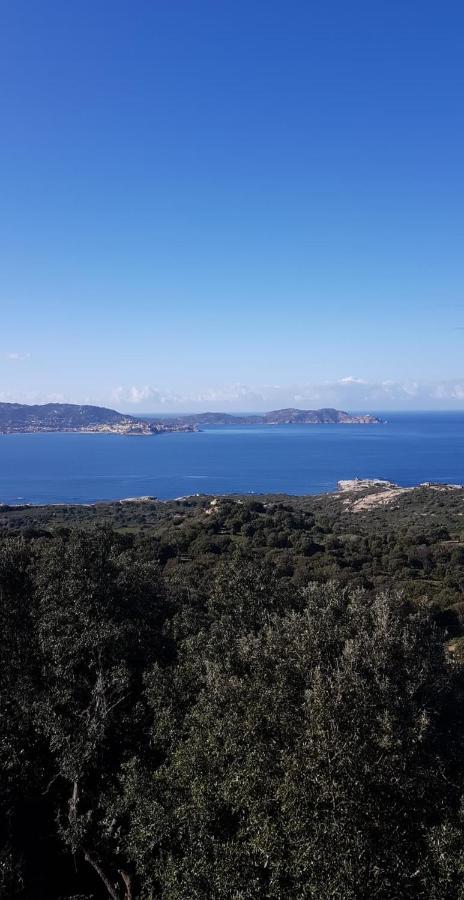 Camping Monte Ortu Lumio  Dış mekan fotoğraf